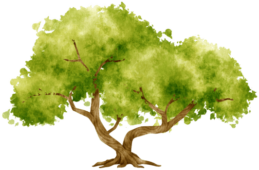 Tree watercolor illustration for Decorative Element png