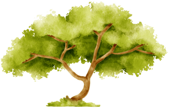 Tree watercolor illustration for Decorative Element png