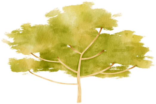 Tree watercolor illustration for Decorative Element png