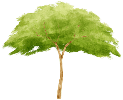 Tree watercolor illustration for Decorative Element png