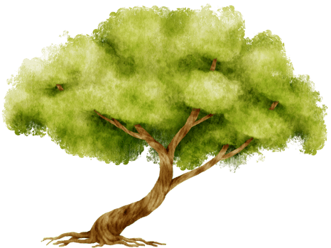 Tree watercolor illustration for Decorative Element png
