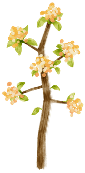 Autumn Tree with Yellow flowers watercolor illustration for Decorative Element png