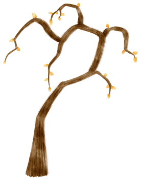 Autumn Tree with Yellow leaves watercolor illustration for Decorative Element png
