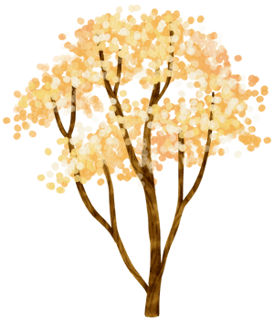 Autumn Tree with Yellow flowers watercolor illustration for Decorative Element png