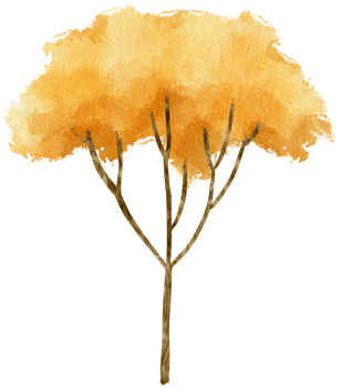 Autumn Tree with Yellow leaves watercolor illustration for Decorative Element png