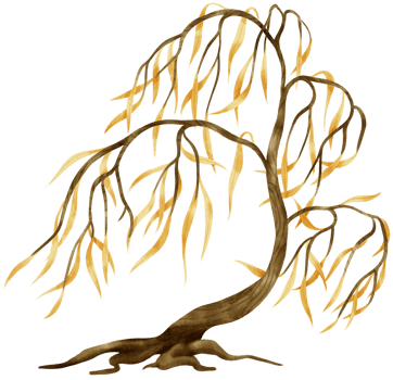 Autumn Tree with Yellow leaves watercolor illustration for Decorative Element png