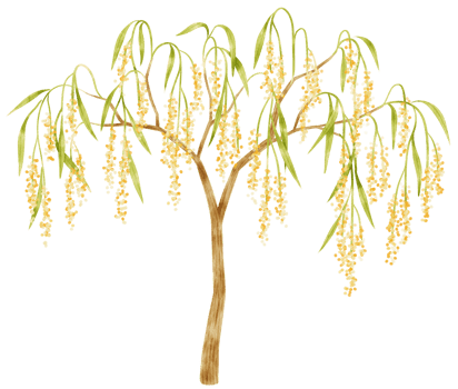 Autumn Tree with Yellow flowers watercolor illustration for Decorative Element png