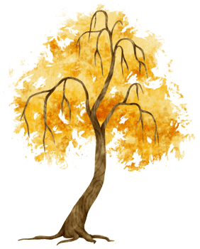 Autumn Tree with Yellow leaves watercolor illustration for Decorative Element png