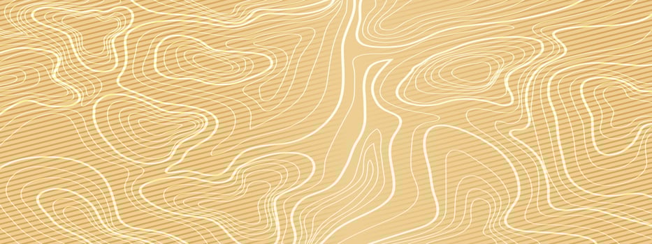 topographic line contour map background, geographic grid map vector