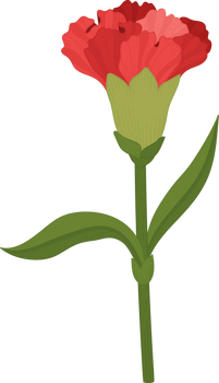red carnation flower hand drawn illustration. png