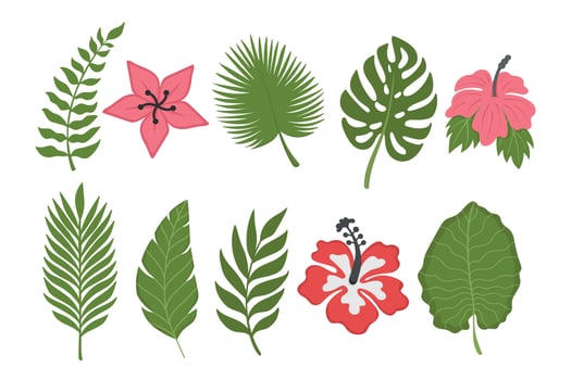 Set of tropical flowers and leaves. Doodle flat clipart. All objects are repainted. vector