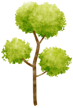 Tree watercolor illustration for Decorative Element png