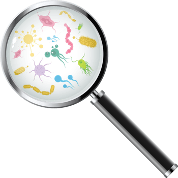 Microorganisms under a magnifying glass png