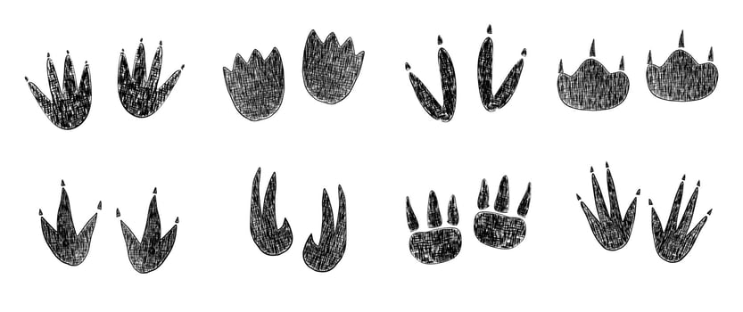 dinosaur footprint sketch set vector
