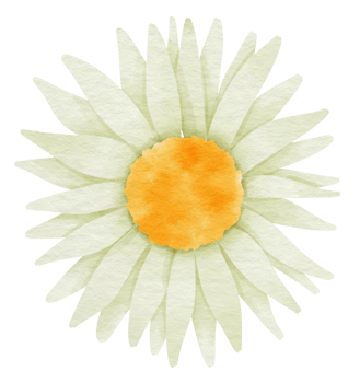 Green flower watercolor painted for Decorative Element png