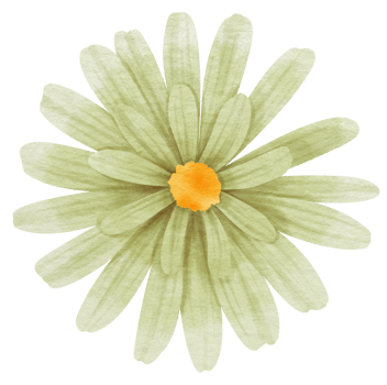 Green flower watercolor painted for Decorative Element png