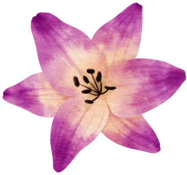 Purple flower watercolor painted for Decorative Element png
