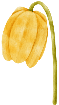 Yellow flower watercolor style for Decorative Element png