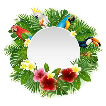 Round blank sign with birds collection and tropical plants background vector