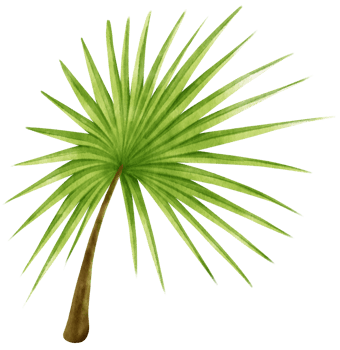 Palm leaf tropical watercolor illustration png