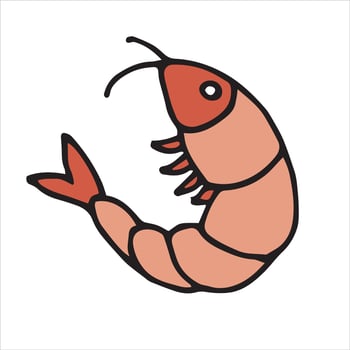 vector illustration in doodle style, cartoon. sweet shrimp, boiled shrimp. color icon isolated on a white background. food, sea animals. meat-free diet