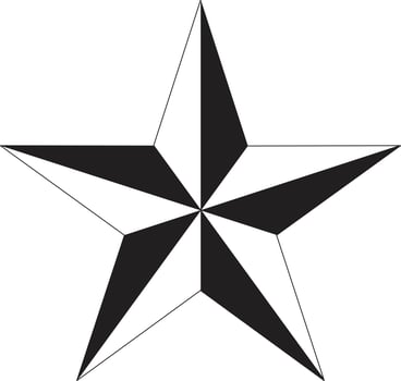 star icon on white background. black and white star sign. flat style. vector
