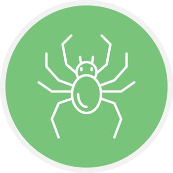 Spider Color Icon vector