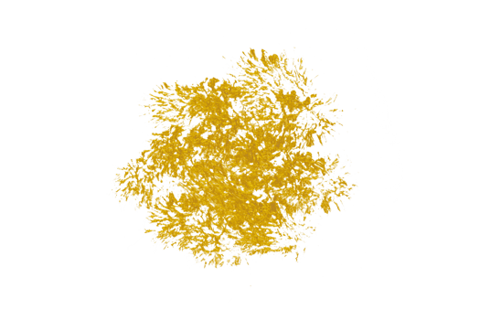 gold brush stroke for design png