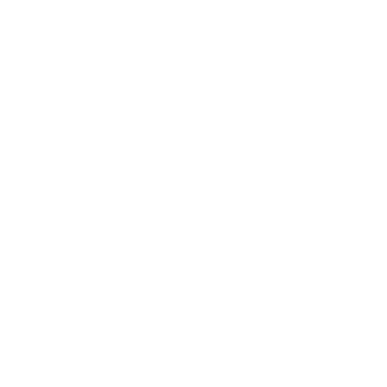 mandala for design hand drawn png