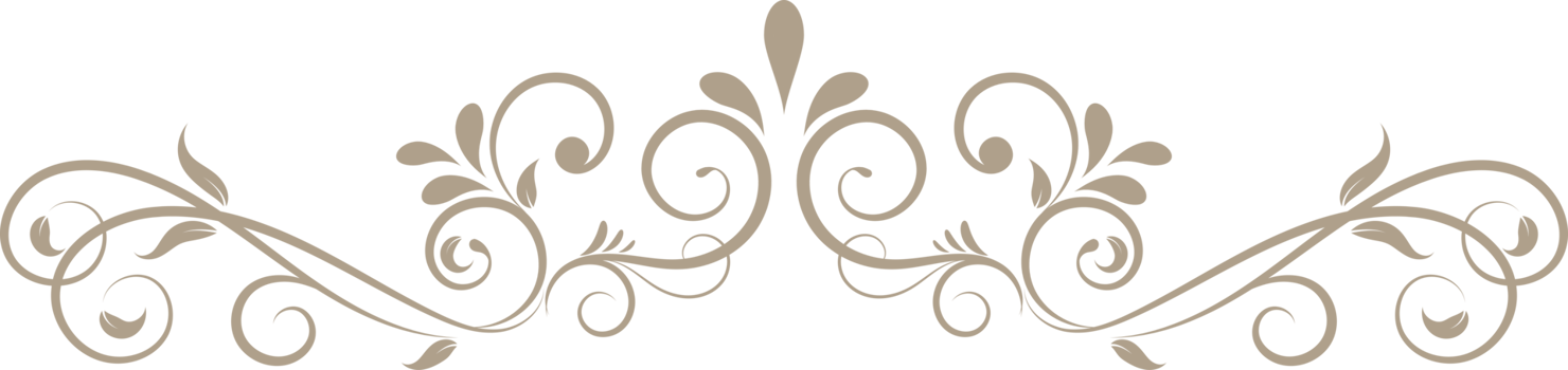 floral border  handdrawn illustration png