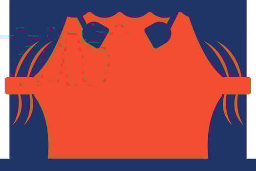 Stage Color Icon vector