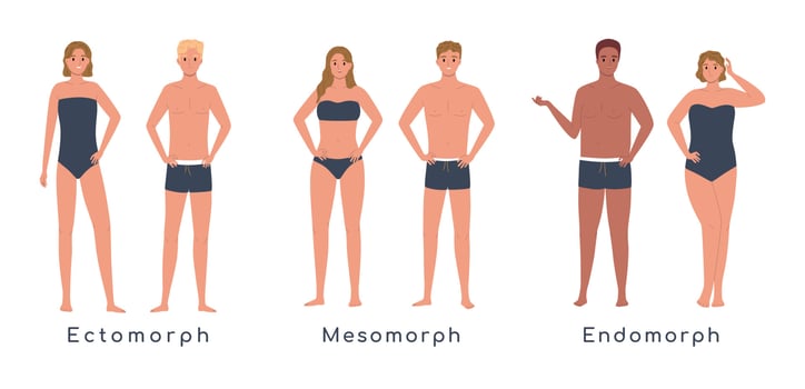 Body Types Flat Set vector