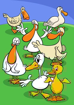 cartoon duck birds farm animal characters group vector