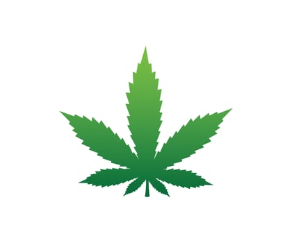 Cannabis Marijuana Leaf  Vector Logo
