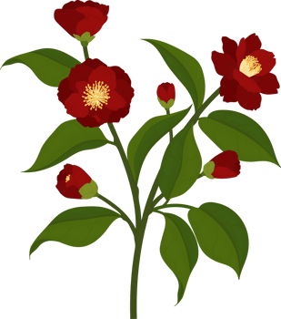 Red camellia flower hand drawn illustration. png