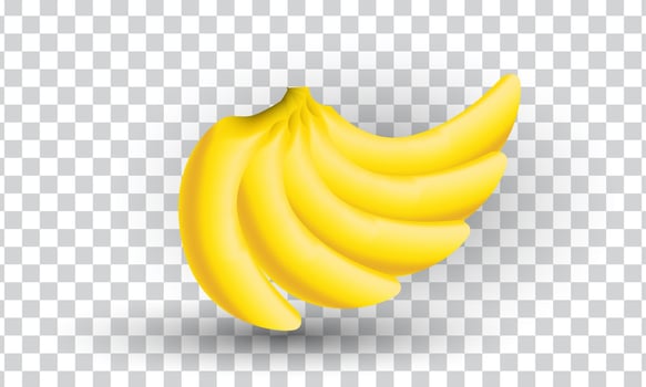 unique 3d yellow banana peeled fruit nature realistic isolated on vector