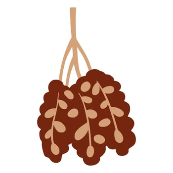 Dates branch vector illustration
