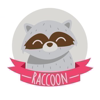 CUTE RACCOON LOGO vector