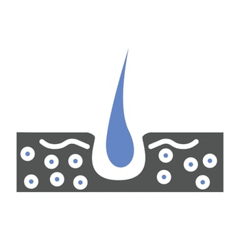 Skin Hair Icon Style vector