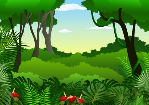 Tropical forest background vector