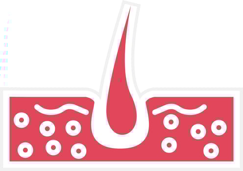Skin Hair Icon Style vector