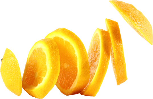 orange slice isolated png