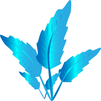 Hello summer leaf art graphic design icon element ornate decoration png