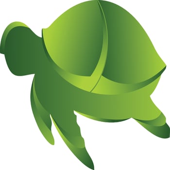 turtle logo vector