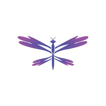 dragonfly logo vector
