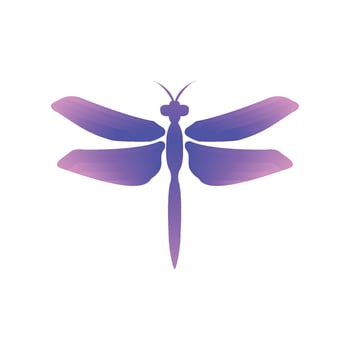 dragonfly logo vector