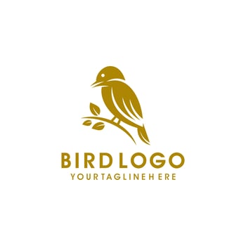 Bird logo design vector illustration