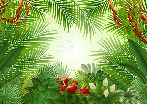 Tropical plants background vector