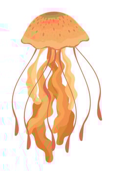 jellyfish sea life vector