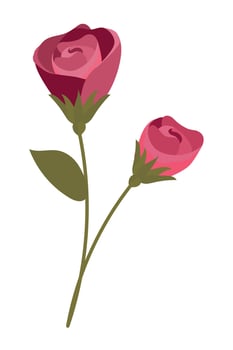 flowers and leaves vector